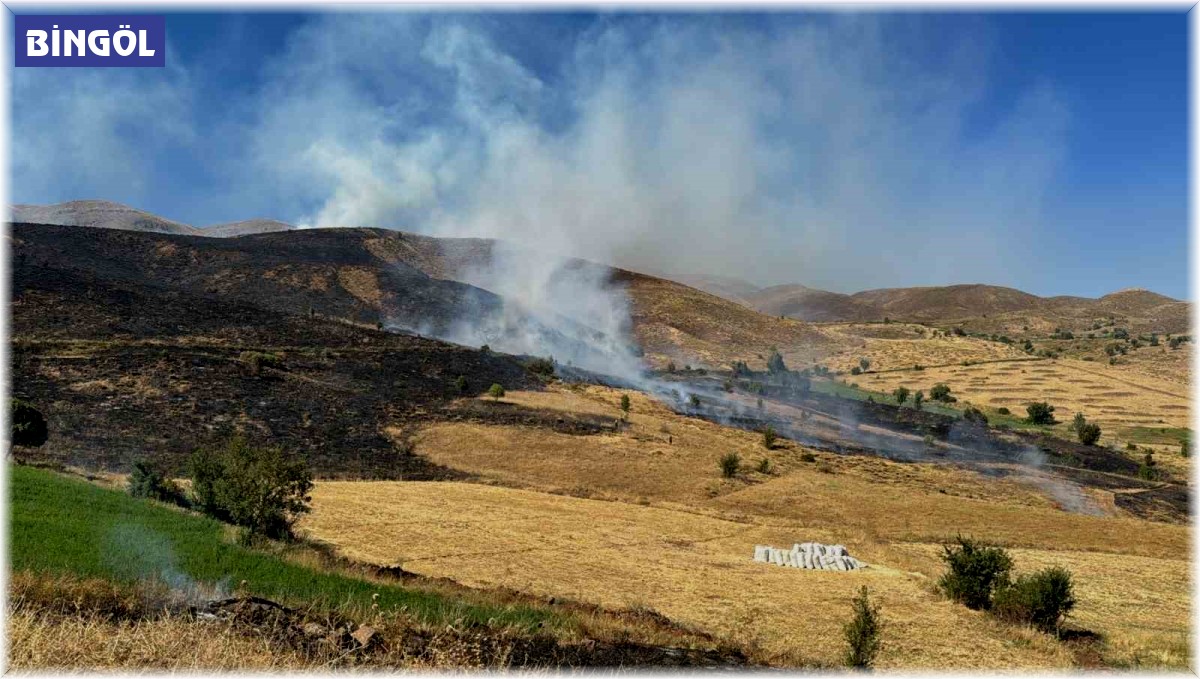 Bingöl'de 113 yangında 142 hektarlık alan zarar gördü