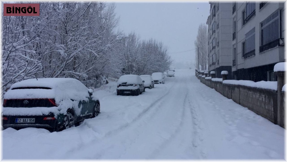 Bingöl'de 130 köy yolu ulaşıma kapandı