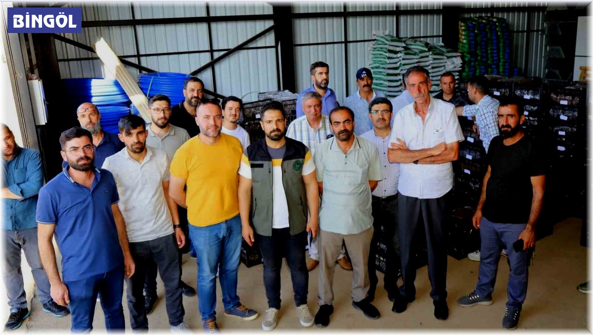 Bingöl'de 170 bin adet çilek fidesi dağıtıldı