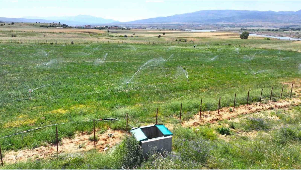 Bingöl'de 182 bin dekar alan sulanacak