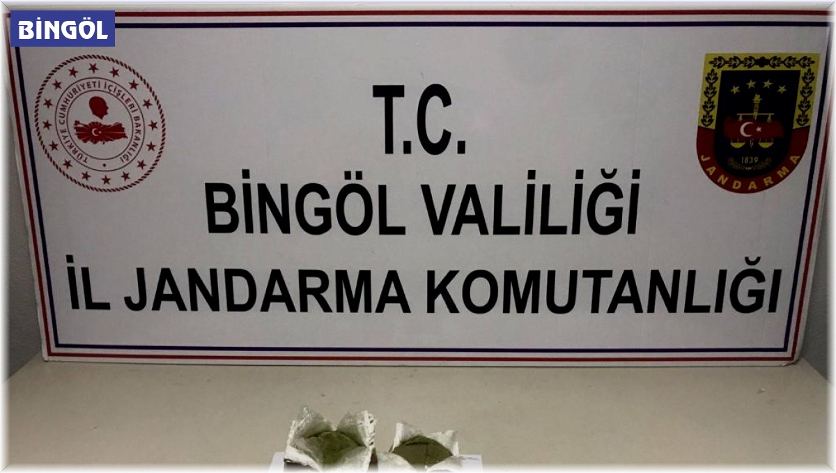 Bingöl'de 2 bin 507 kök kenevir ele geçirildi