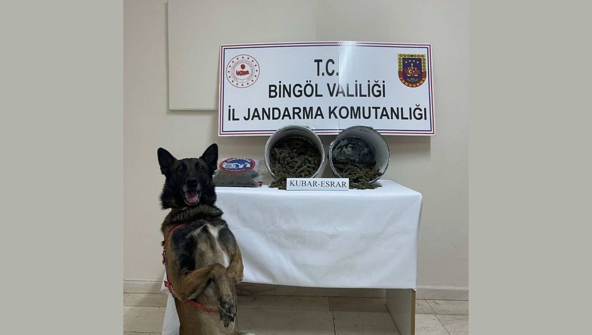 Bingöl'de 2 kilo esrar ele geçirildi: 1 tutuklama