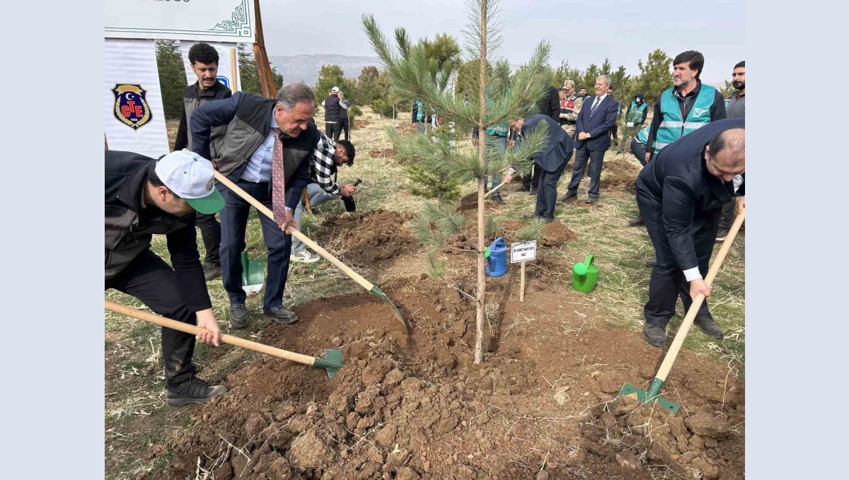 Bingöl'de 25 bin fidan toprakla buluştu