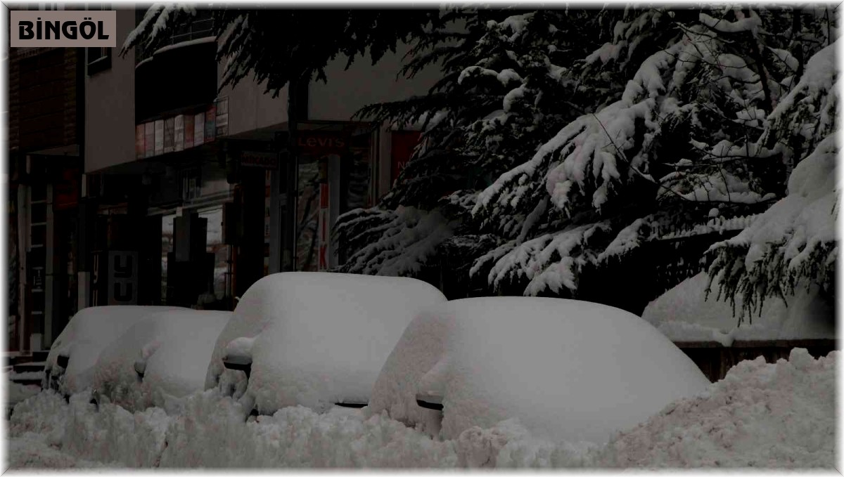 Bingöl'de 281 köy yolu ulaşıma kapandı