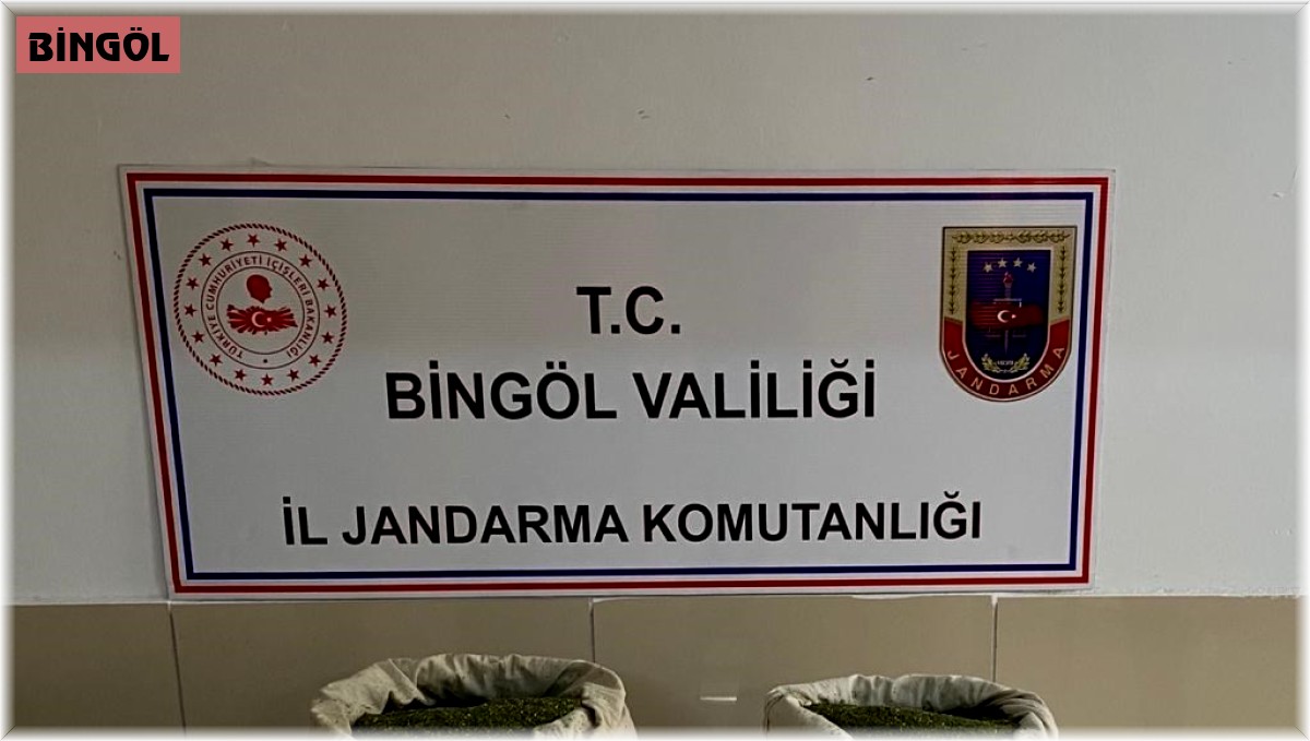 Bingöl'de 29 kilo esrar ele geçirildi