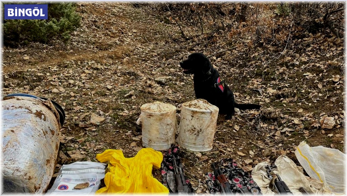 Bingöl'de 3 kalaşnikof ve patlayıcı madde ele geçirildi