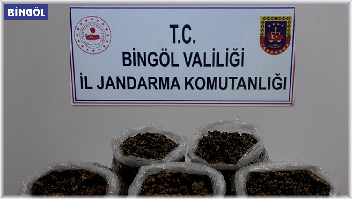 Bingöl'de 3 kilo esrar ele geçirildi: 2 gözaltı