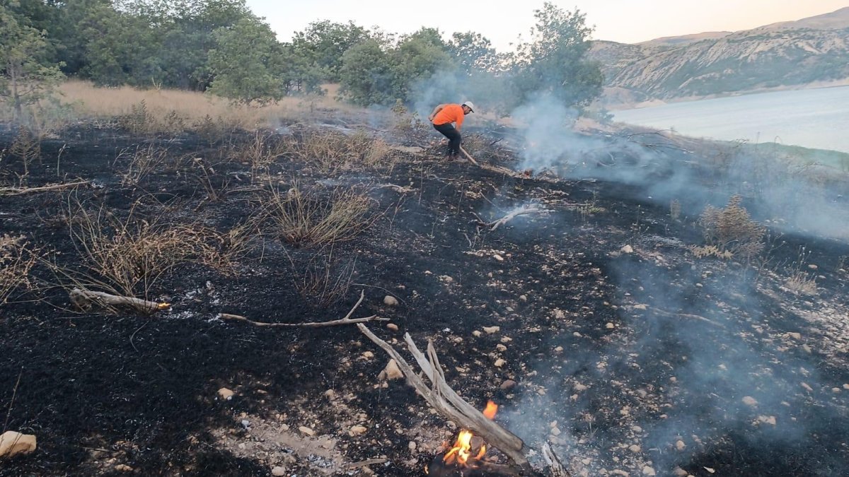 Bingöl'de 3 köyde çıkan orman yangınları söndürüldü