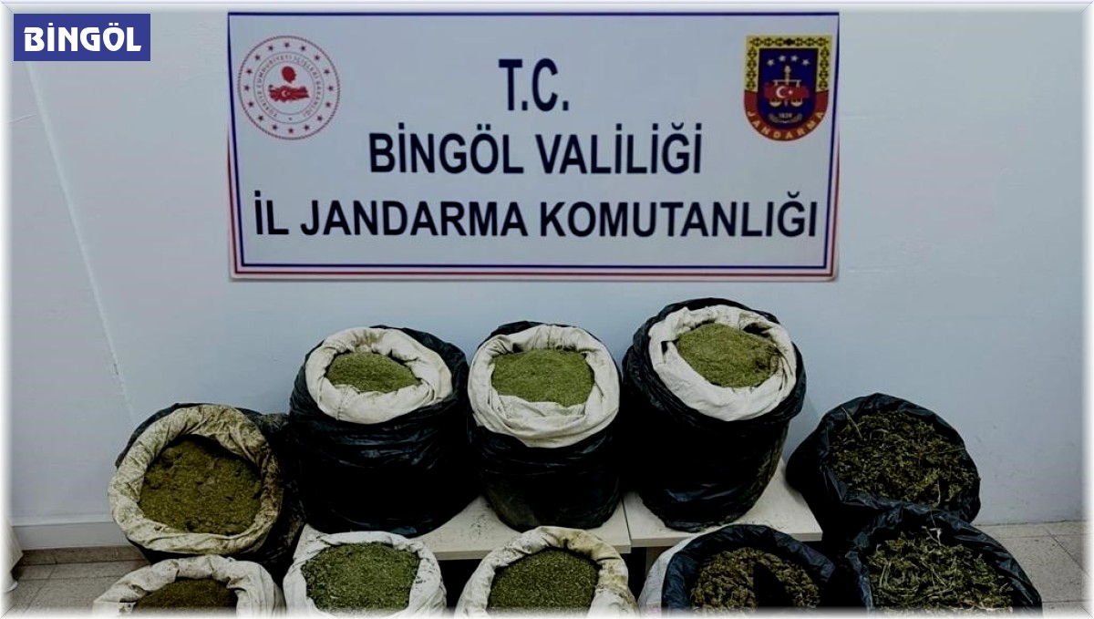 Bingöl'de 3 milyon kök kenevir ve 150 kilo toz esrar ele geçirildi