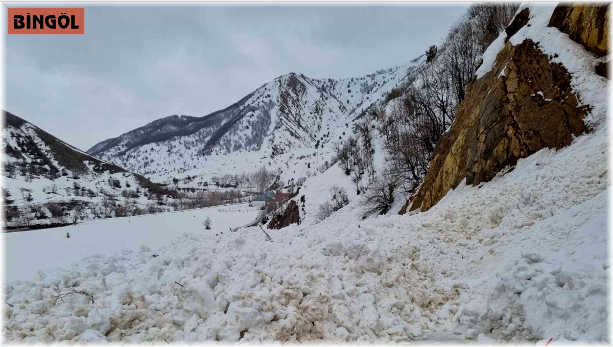 Bingöl'de 3 noktada çığ düştü