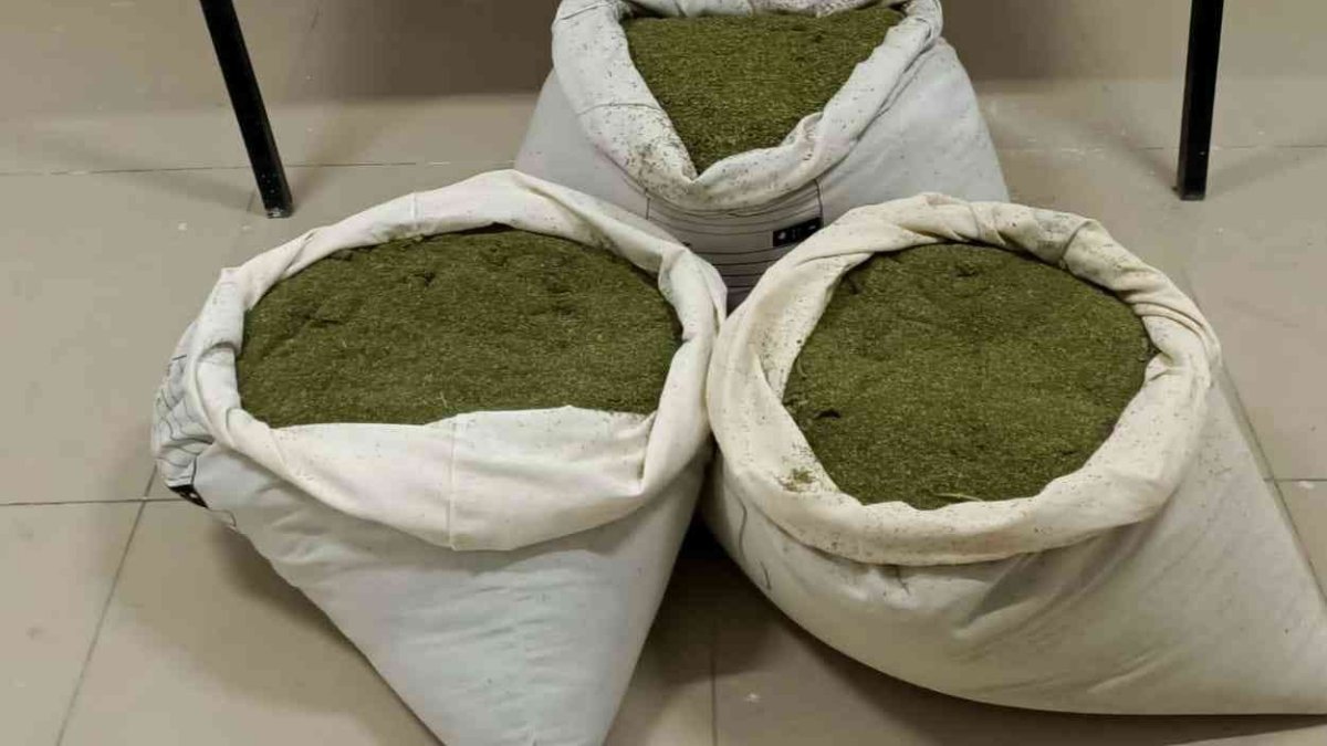 Bingöl'de 30 kilogram esrar ele geçirildi