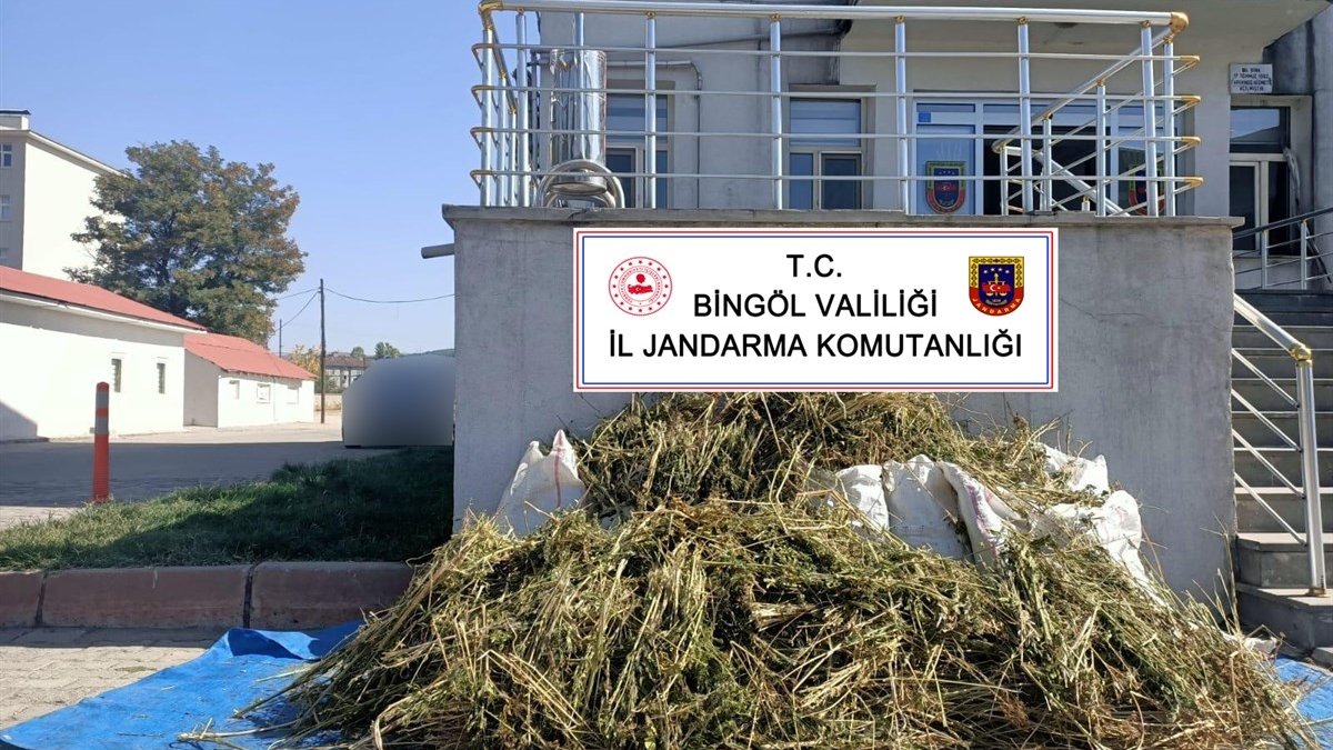 Bingöl'de 40 kilogram esrar ve 2 bin 150 kök Hint keneviri ele geçirildi