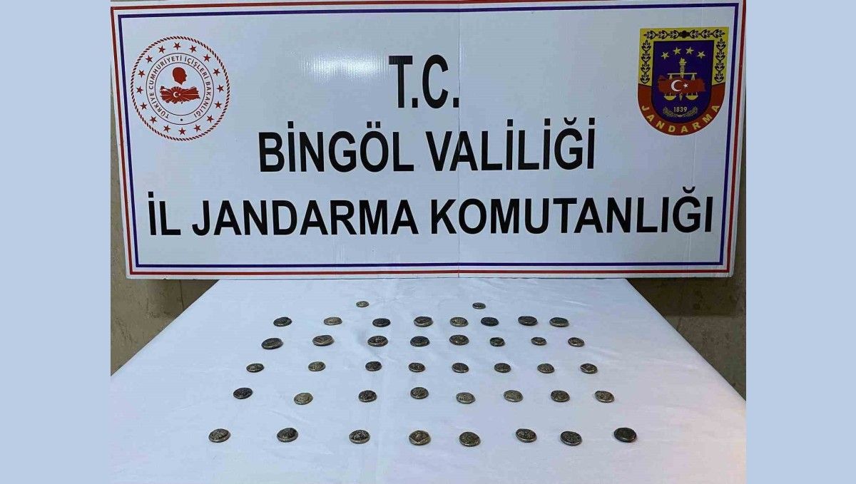 Bingöl'de 42 adet sikke ele geçirdi