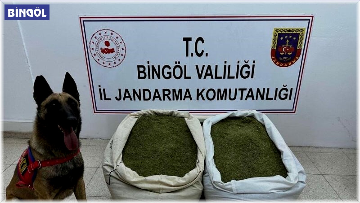 Bingöl'de 45 kilo uyuşturucu madde ele geçirildi