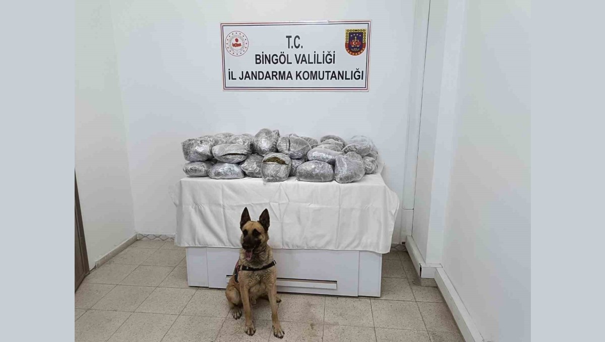 Bingöl'de 49 kilo esrar ele geçirildi