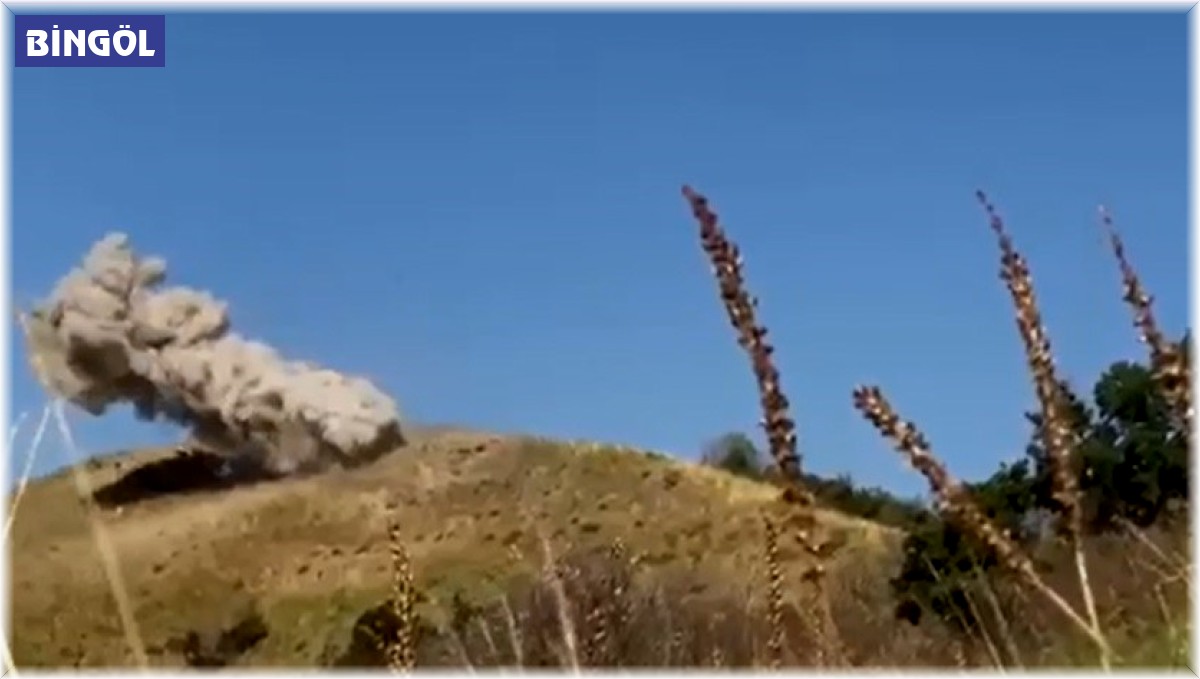 Bingöl'de 55 kilo EYP imha edildi