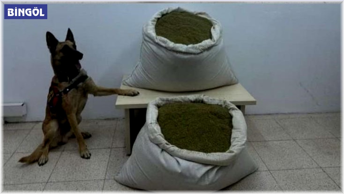 Bingöl'de 6 arazide uyuşturucu madde ele geçirildi