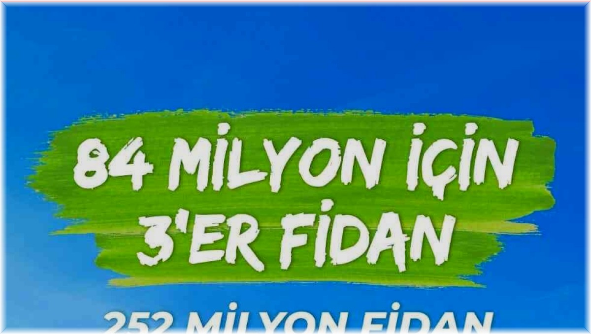 Bingöl'de 70 dönüme 5 bin fidan dikilecek