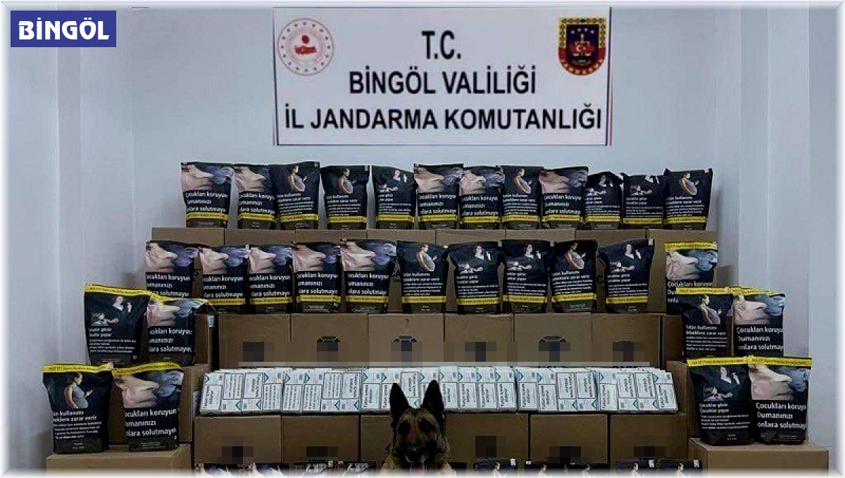 Bingöl'de 76 kilo kaçak tütün ele geçirildi: 1 gözaltı