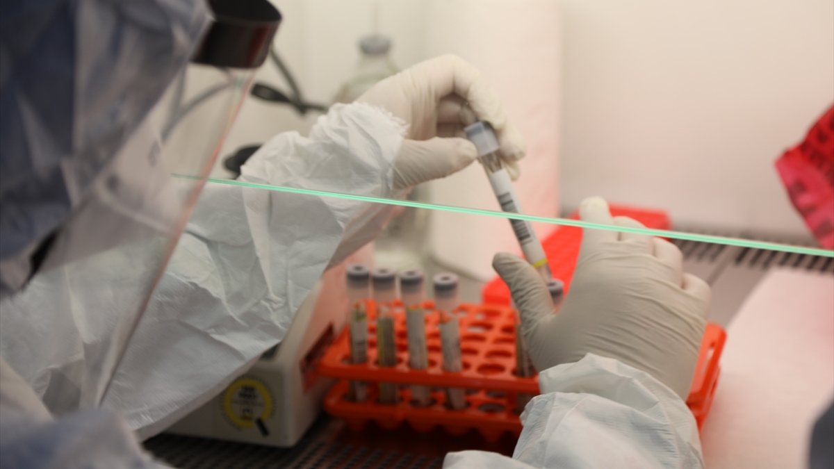 Bingöl'de 9 ayda 85 bin Kovit-19 testi yapıldı