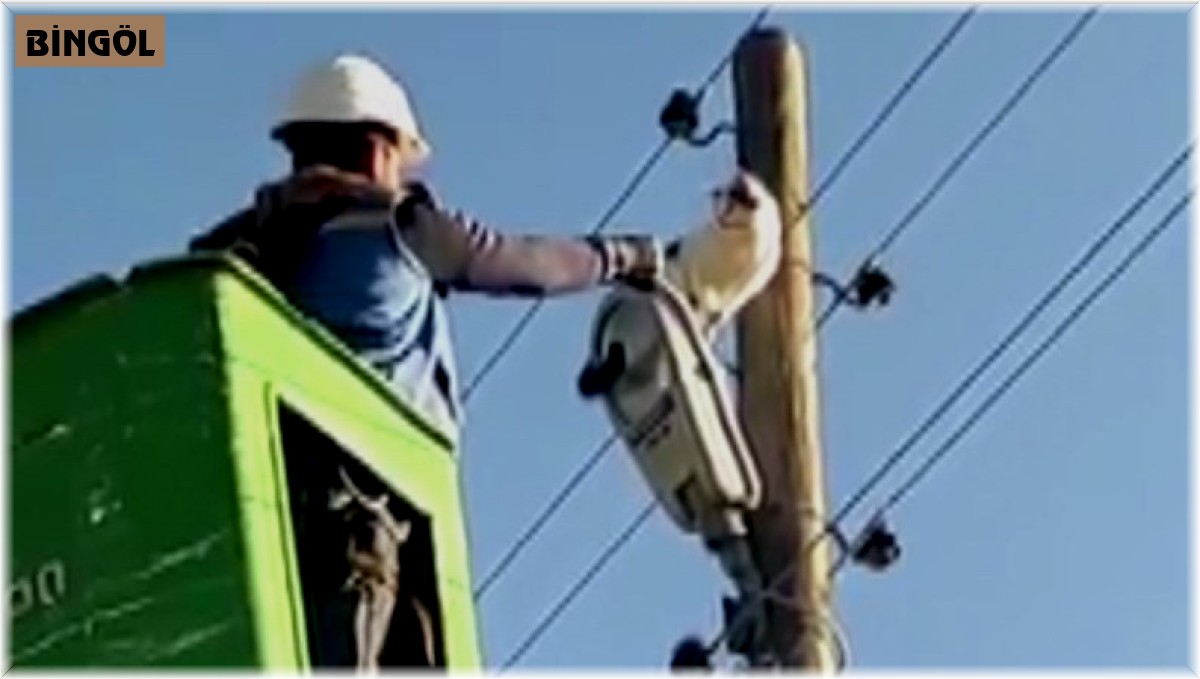 Bingöl'de 9 metrelik elektrik direğinde mahsur kalan kedi kurtarıldı
