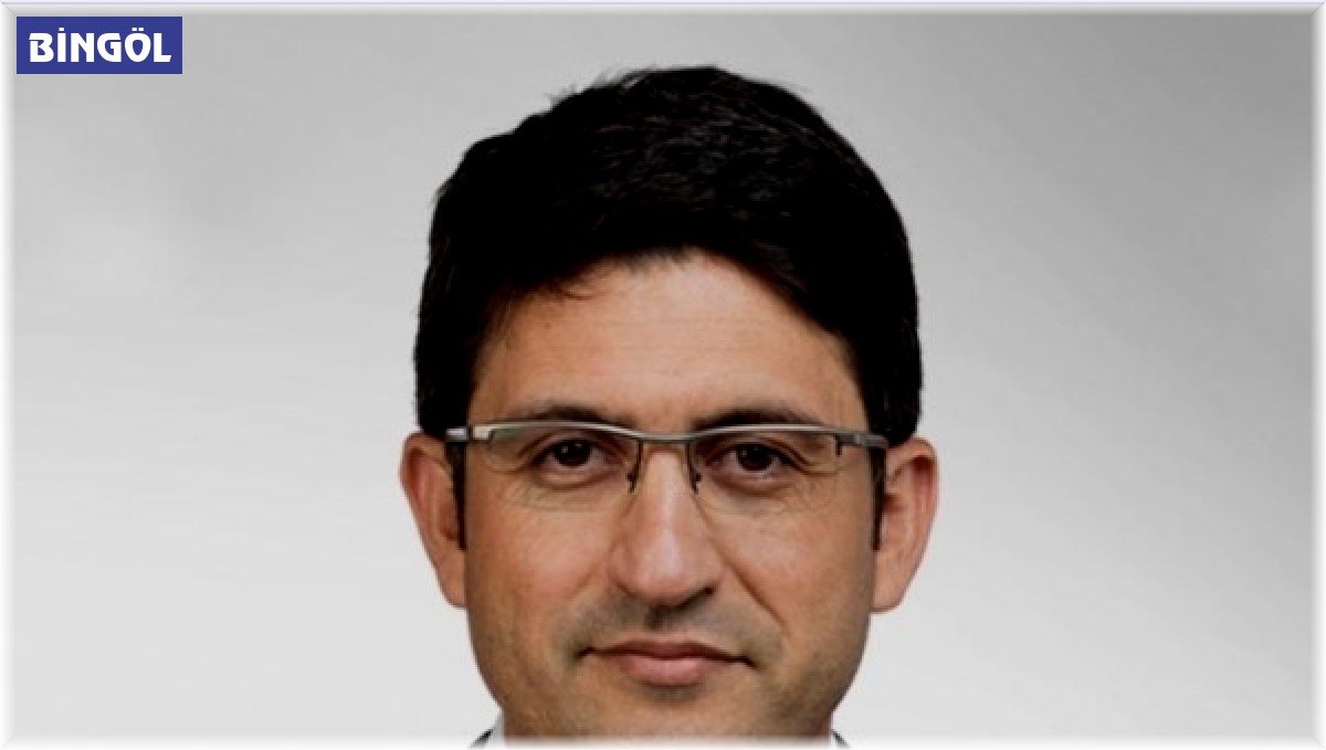 Bingöl'de AK Parti 2, YSP 1 vekil çıkardı