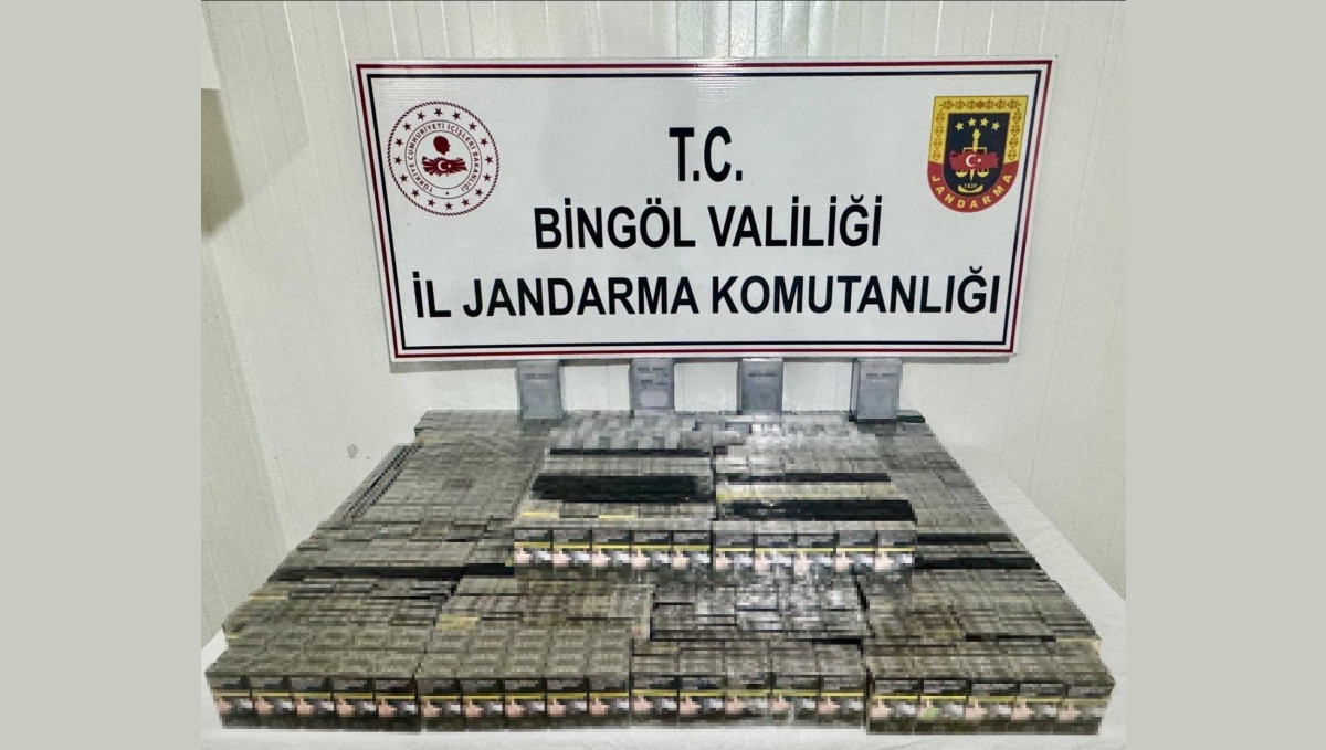 Bingöl'de aranan 2 şahıs yakalandı