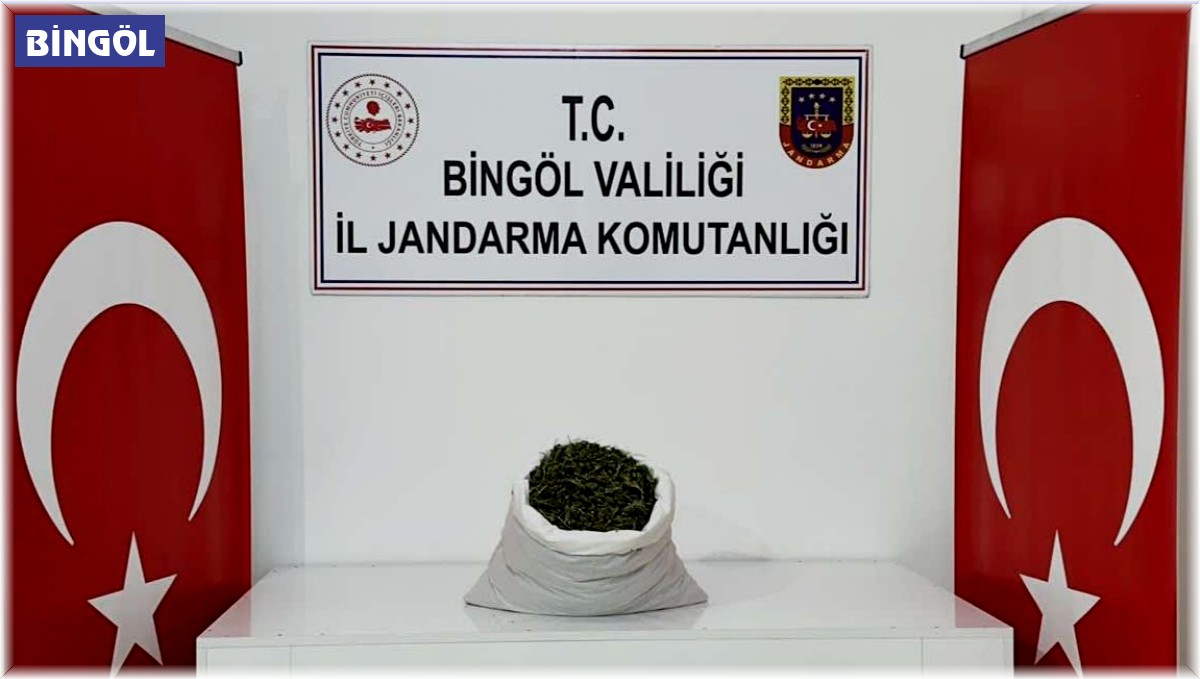 Bingöl'de araziye gömülü 12 kilo 550 gram esrar ele geçirildi