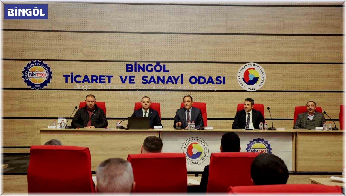 Bingöl'de Arı Yetiştiricileri ve Bal Üreticileri Çalıştayı düzenlendi