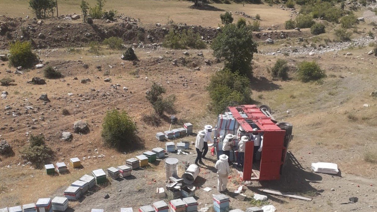 Bingöl'de arı yüklü kamyon devrildi