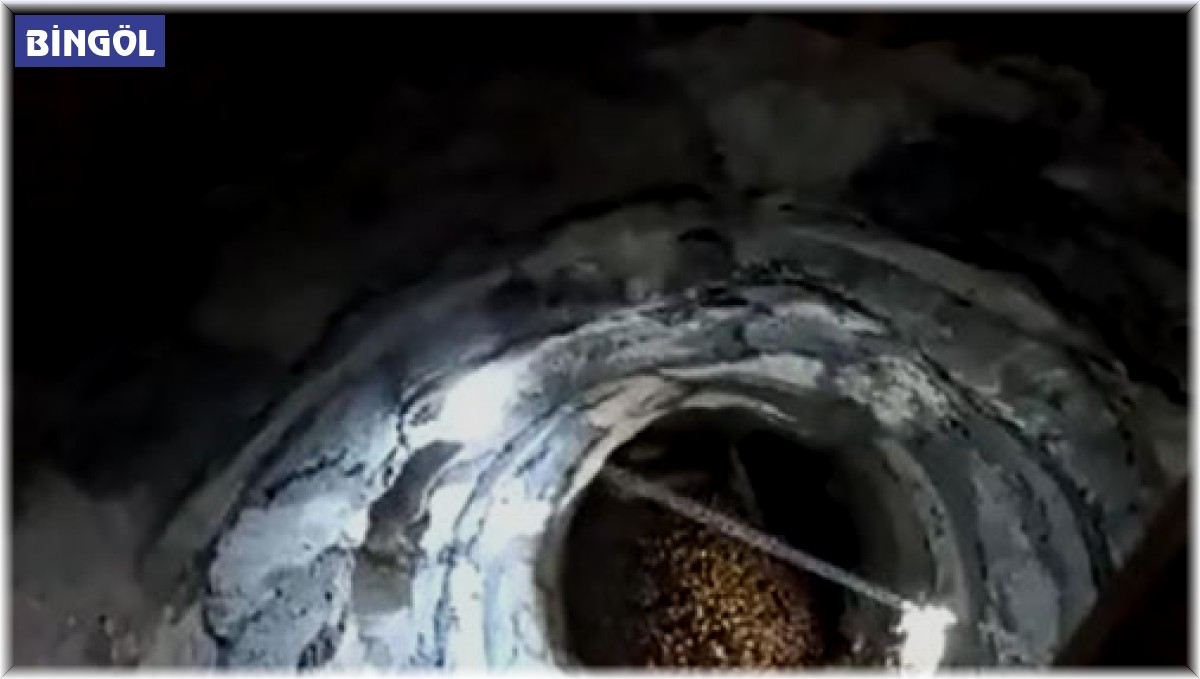 Bingöl'de arılar, cami minaresine yuva yaptı