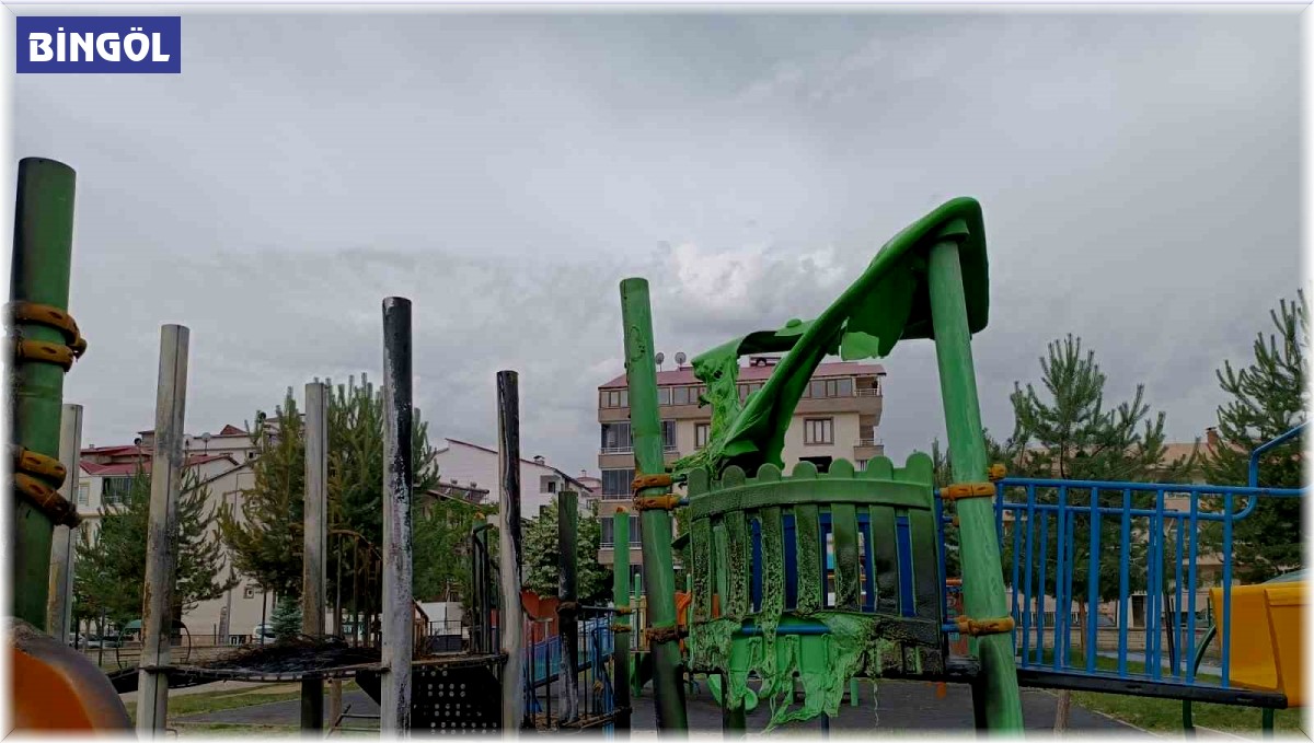 Bingöl'de ateşe verilen araç lastiği, oyun parkını kullanılmaz hale getirdi
