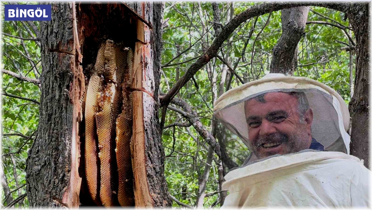 Bingöl'de 'Bal avcıları' arı takibi yaparak doğal bala ulaşıyor