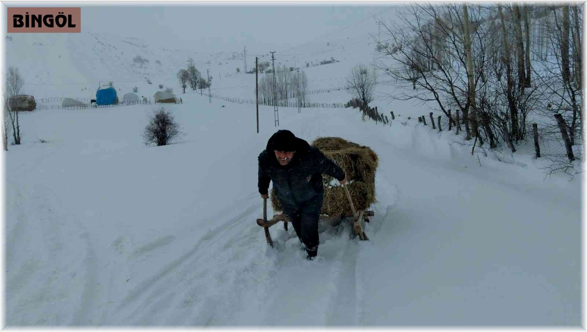 Bingöl'de besicilerin çetin kış şartlarına rağmen zorlu mesaisi sürüyor