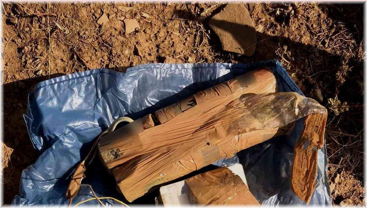 Bingöl'de bulunan tuzaklamış EYP imha edildi