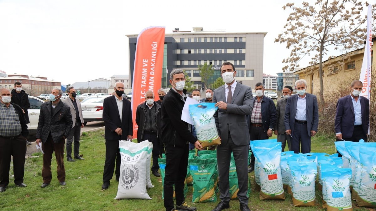 Bingöl'de çiftçilere yüzde 50 hibe destekli tohum dağıtıldı