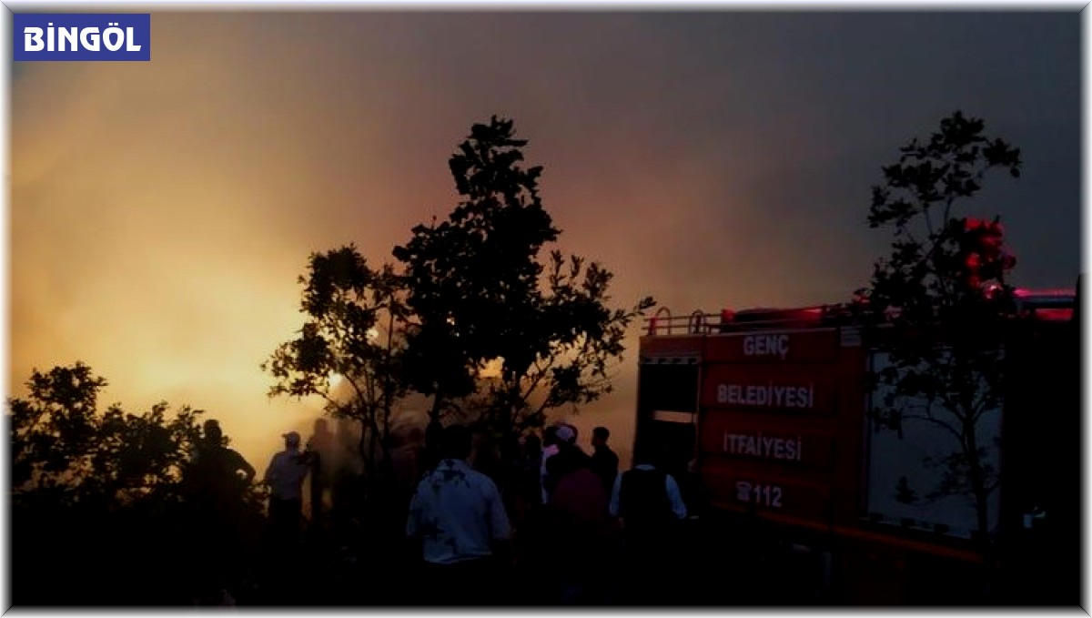 Bingöl'de çiftlikte yangın