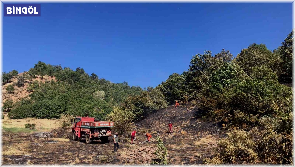 Bingöl'de çıkan orman yangını büyümeden söndürüldü