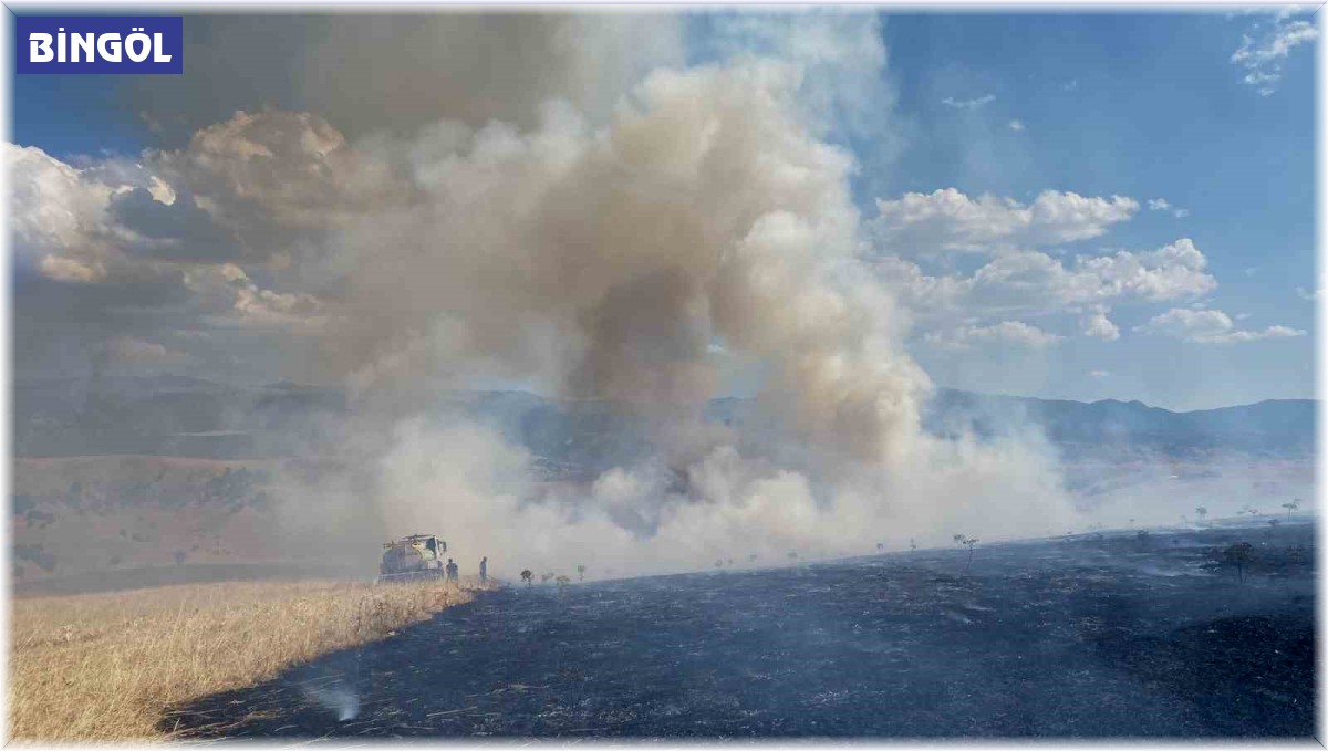 Bingöl'de çıkan orman yangını evlere sıçramadan söndürüldü