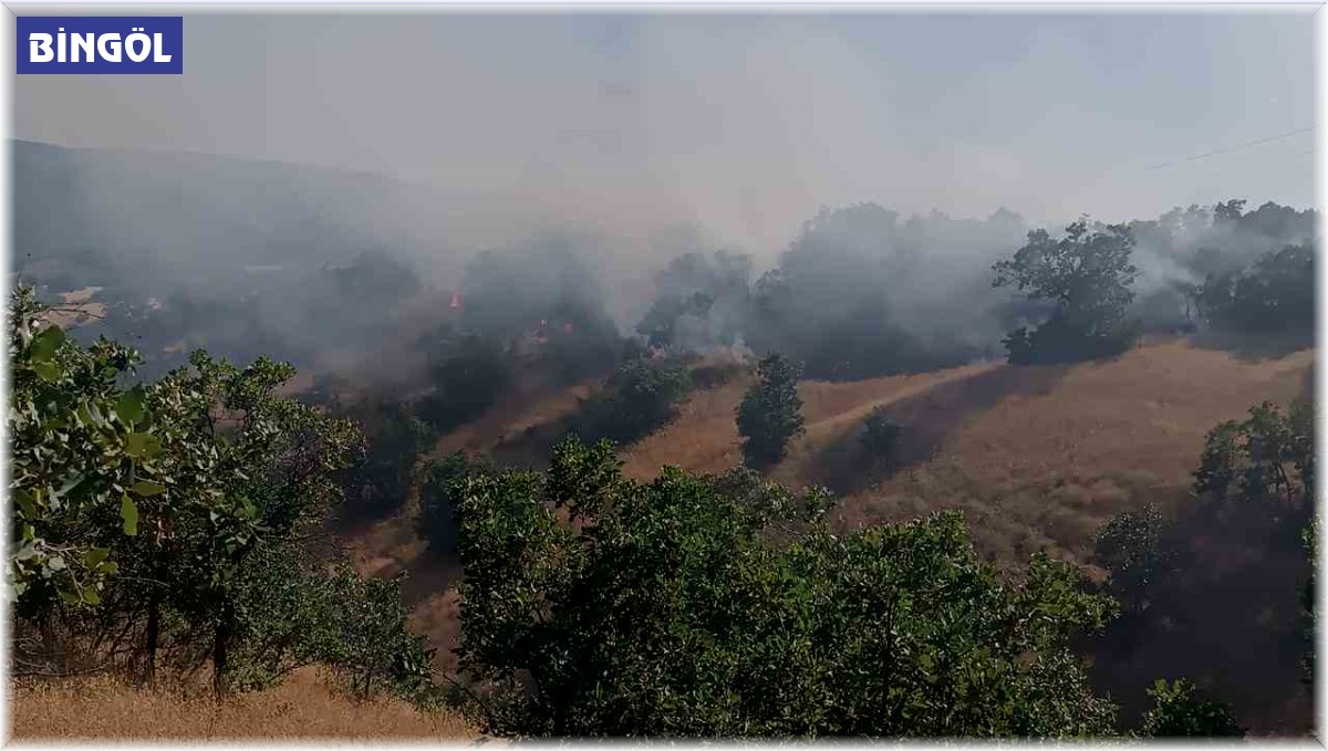 Bingöl'de çıkan orman yangını kısa sürede söndürüldü