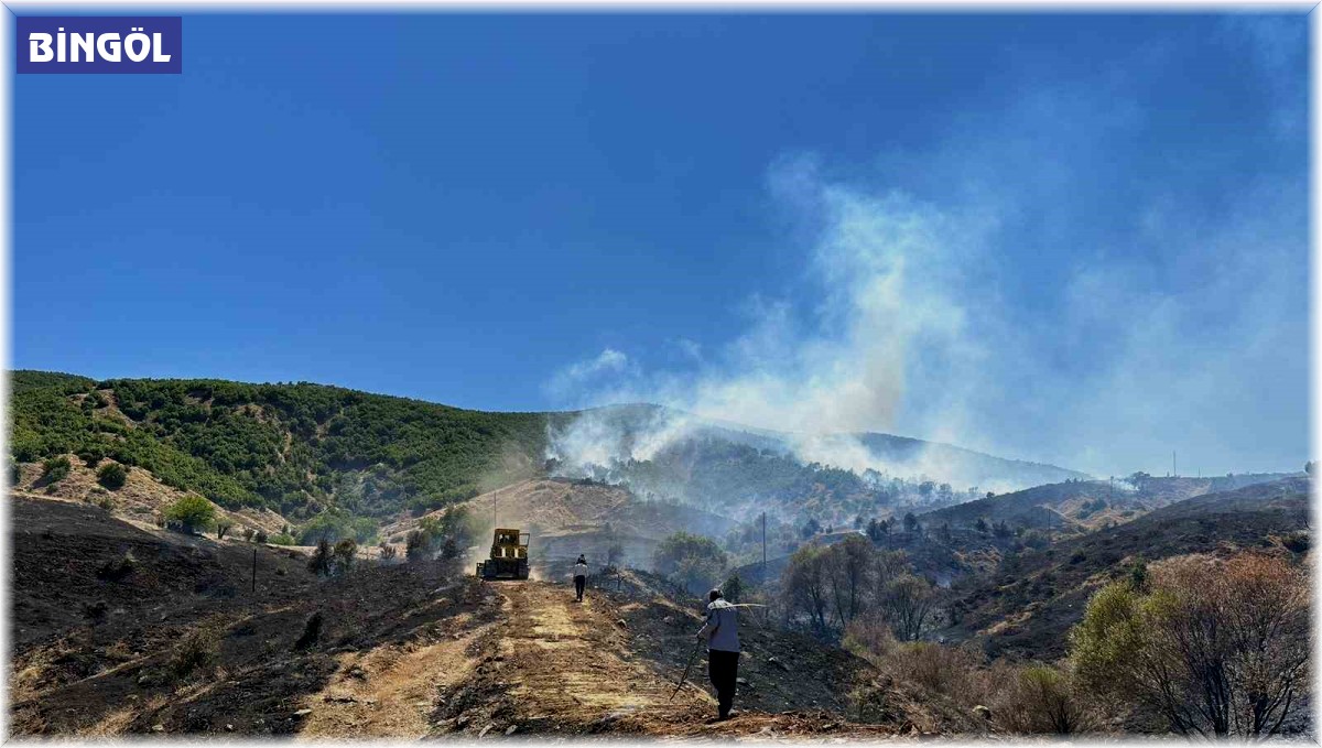 Bingöl'de çıkan orman yangını kontrol altına alındı