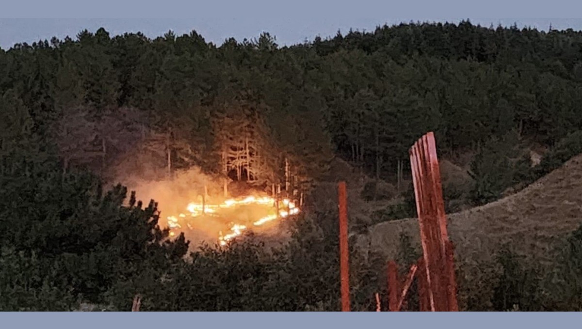 Bingöl'de çıkan orman yangını kontrol altına alındı