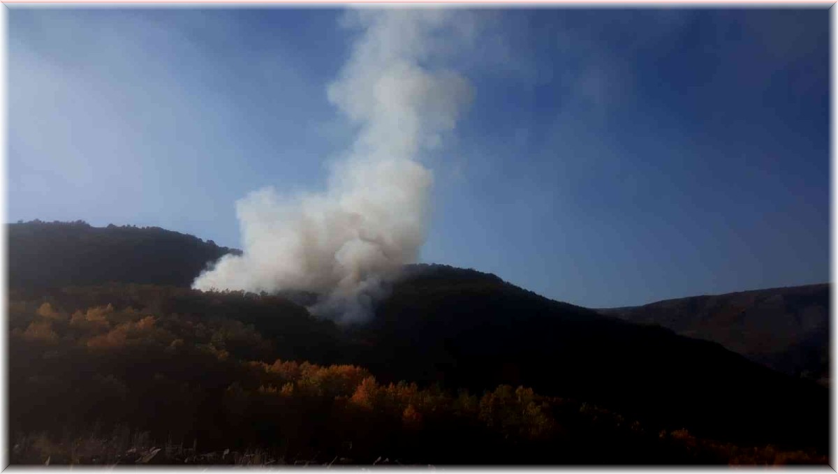 Bingöl'de çıkan orman yangını kontrol altına alındı