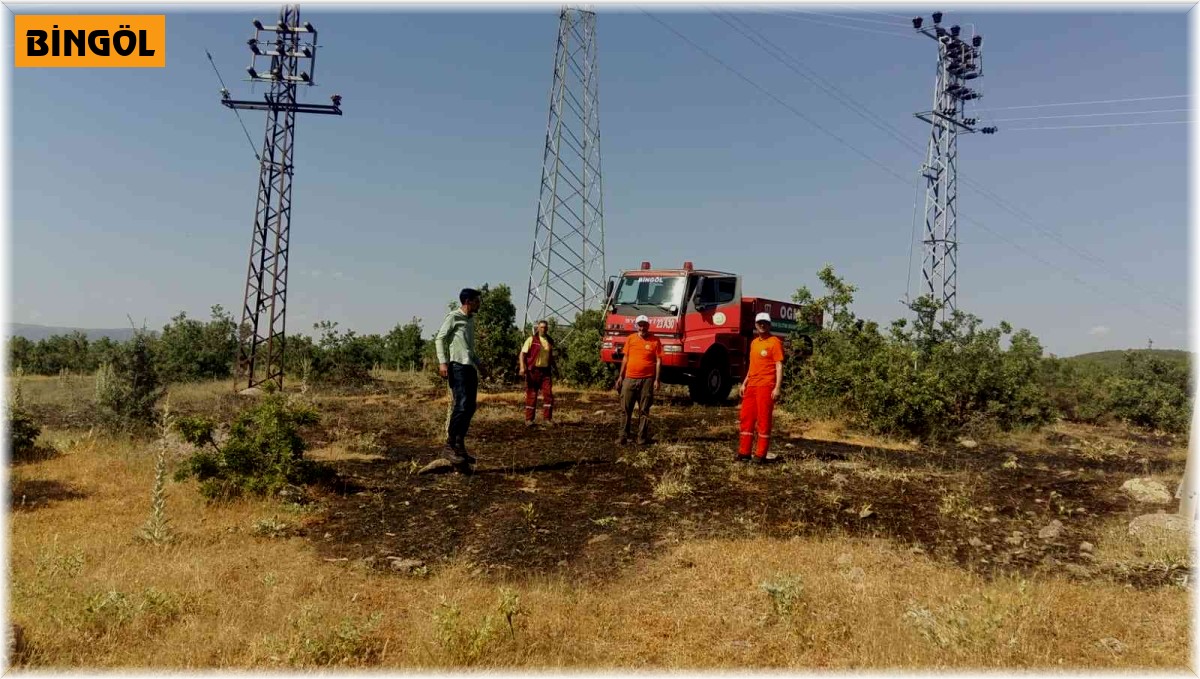 Bingöl'de çıkan orman yangını söndürüldü