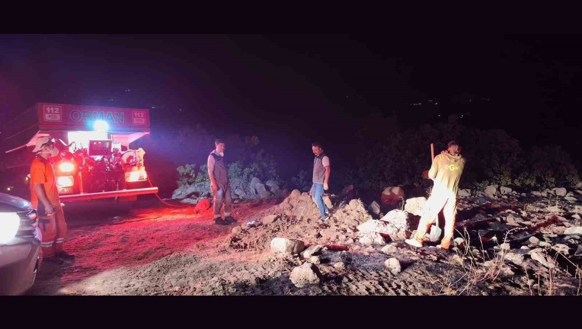 Bingöl'de çıkan orman yangınları kontrol altına alındı