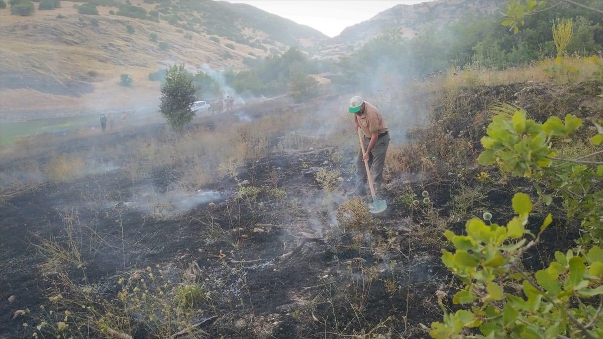 Bingöl'de çıkan orman yangınları söndürüldü