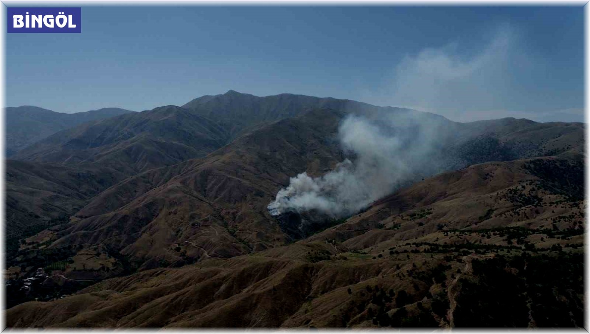 Bingöl'de çıkan örtü yangını ormana sıçramadan söndürüldü