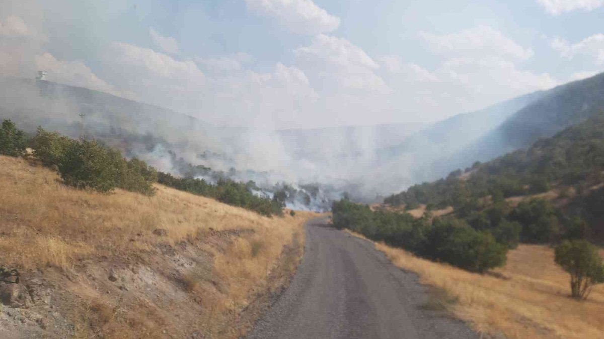 Bingöl'de çıkan örtü yangını söndürüldü