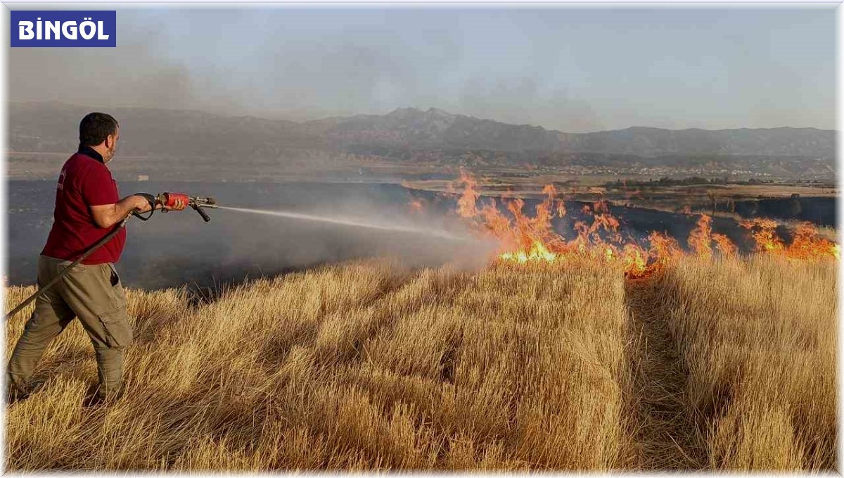 Bingöl'de çıkan ot yangını ekipler tarafından söndürüldü