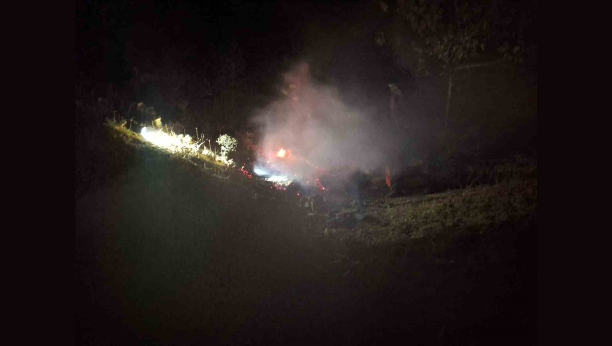 Bingöl'de çıkan yangın söndürüldü